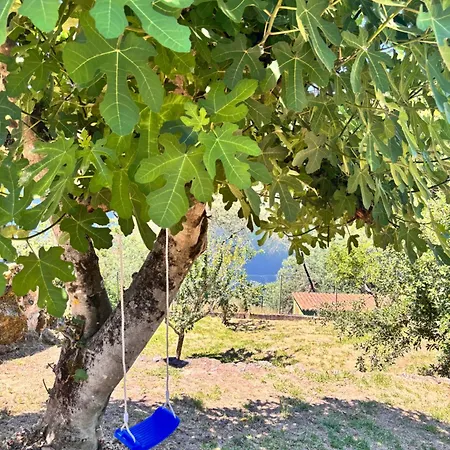 Nyaraló Lar Do Pilis *
